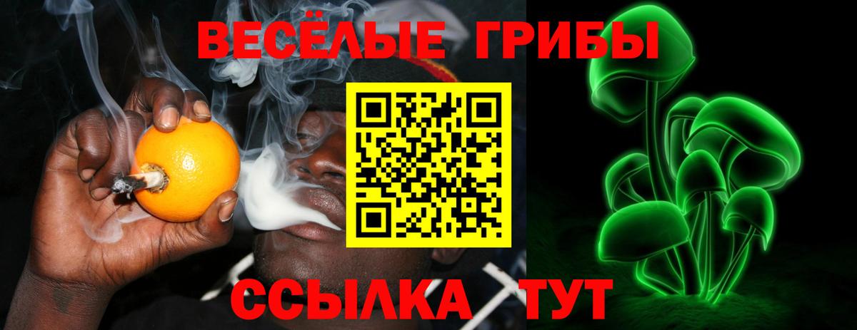 Калач-на-Дону  Псилоцибиновые грибы мухоморы  Вход с VPN 